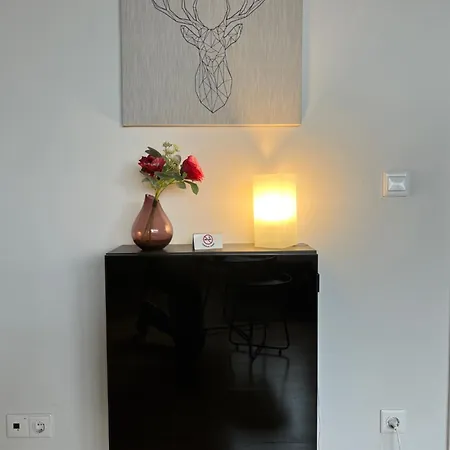 Grosszuegige, Zentrale In Apartment